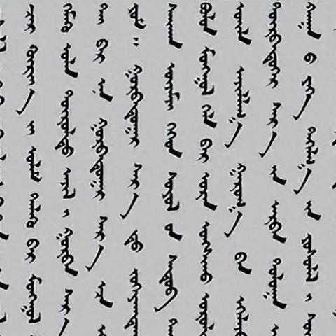 探索未来语言现象,另类词汇揭秘