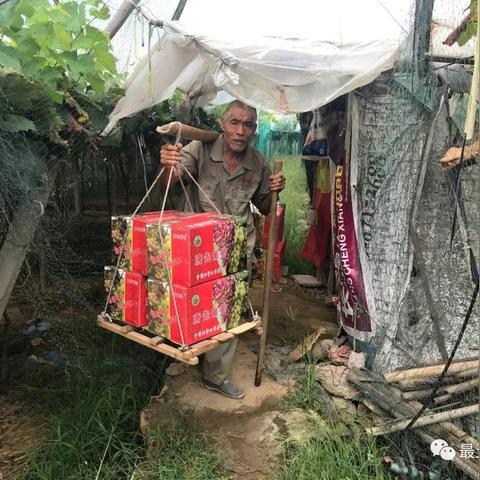 永康最新车祸事件全面解析