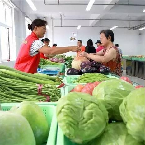 邯郸甘蓝最新报价与市场行情分析