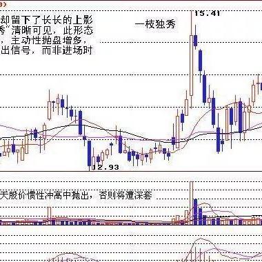 最新股票书籍解读,洞悉投资脉络,把握先机