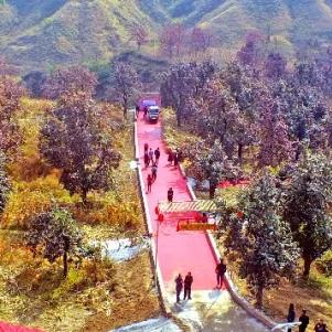 孝义最新会谱概览