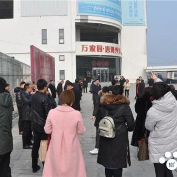 唐河外滩最新进展动态速递