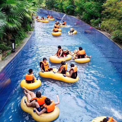 广东鸭价最新行情分析